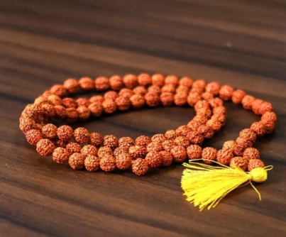 Rudraksh by Astrologer in Gurgaon